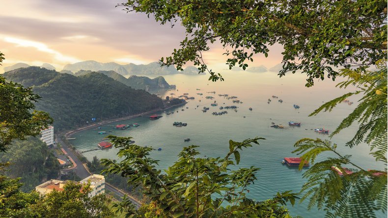 Cat Ba Island, Vietnam: The Complete Guide [Updated 2022]