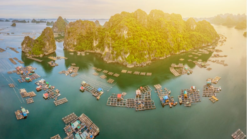 Choosing Between Halong Bay, Lan Ha Bay and Bai Tu Long Bay: Which Bay is Best?