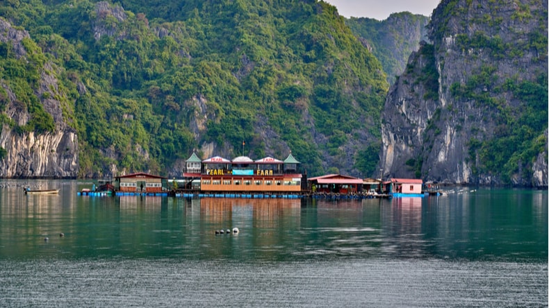 Pearl Farm in Halong Bay: The Complete Guide